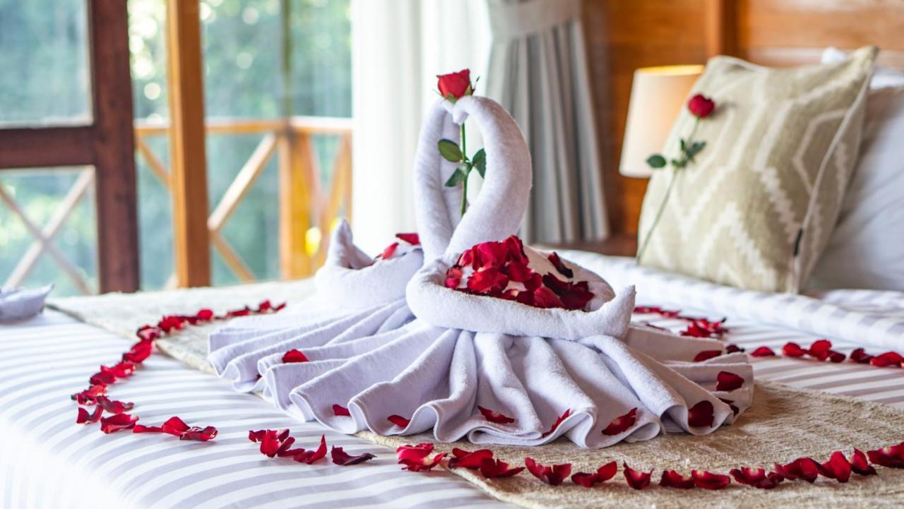 Anja Villas Ubud Tegallalang  Luaran gambar