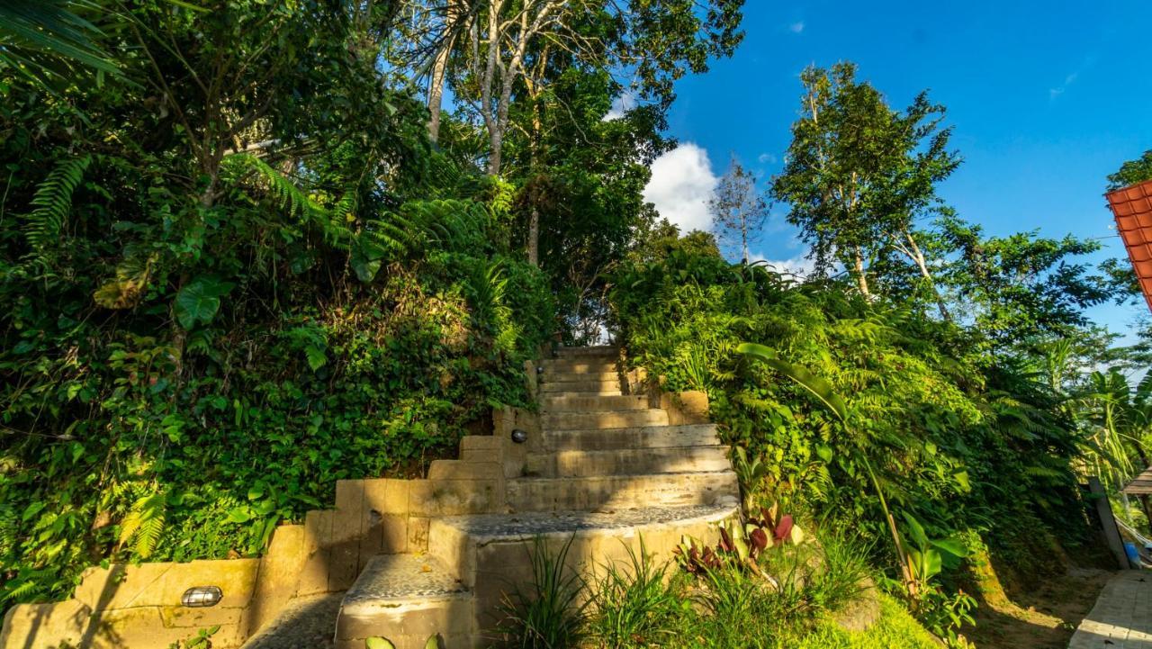 Anja Villas Ubud Tegallalang  Luaran gambar